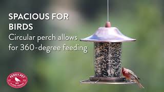 PerkyPet® Copper Finish Panorama Bird Feeder  Benefits [upl. by Hawker]