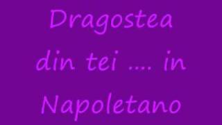 IN NAPOLETANO quotDragostea din teiquot [upl. by Abisia]