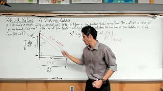 The Sliding Ladder Problem  Calculus 1 Related Rates [upl. by Maltzman816]