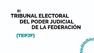 AcércaTE  ¿Qué hace el Tribunal Electoral del Poder Judicial de la Federación [upl. by Elyc]