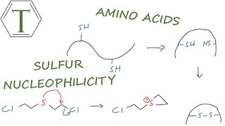 Thiols and Thioethers  Organic Chemistry Lessons [upl. by Lisan]