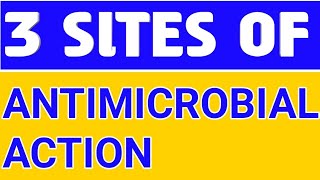 SITES OF ANTIMICROBIAL ACTION pharmacology pharmacy nursing doctor [upl. by Akemej]