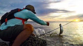 How To Fish Smathers Beach Key West  Tarpon Tips [upl. by Bokaj]