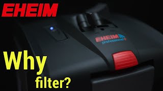 Why External Filters Are Important for Planted Aquariums [upl. by Aihsenat272]