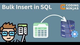 Bulk insert in sql server  شرح بالعربي [upl. by Gottfried]