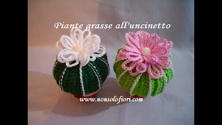 Pianta grassa alluncinetto  VideotutorialCrochet succulent plant [upl. by Trakas]