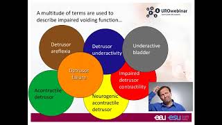 Urowebinar Underactive bladder  The story so far [upl. by Tomasina571]