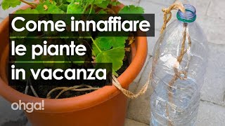 Innaffiare le piante quando sei in vacanza 3 metodi riciclando una bottiglia di plastica [upl. by Ozmo]