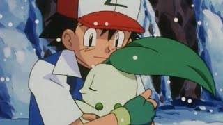 Chikorita  Pokémon The Johto Journeys  Official Clip [upl. by Isacco174]