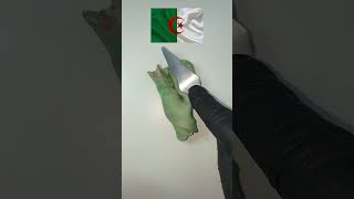 Algeria flag mixing colors colorsmixing satisfyingvideo asmr satisfying [upl. by Asiak276]