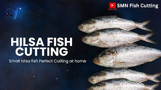 Small hilsa fish Perfect Cutting at home [upl. by Orsino]