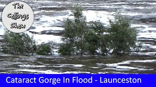 Cataract Gorge In Flood  Launceston Cliff Grounds [upl. by Ydnem]