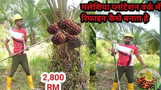 🇲🇾Malaysia Plam oil job cutting work  General Workers Life in Malaysia  Plantation Company [upl. by Naujud364]