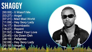 Shaggy 2024 MIX Best Songs  It Wasnt Me Angel Mad Mad World Hey Sexy Lady [upl. by Azirb]