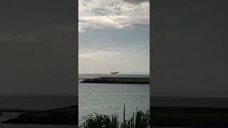 日本 japan  沖繩 okinawa  瀨長島 senaga  戰鬥機 fighteraircraft  降落 landing  f15 [upl. by Tuckie684]