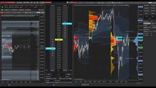 Track Volume Profile with NinjaTraders Order Flow Day Trading Tools [upl. by Eannaj]