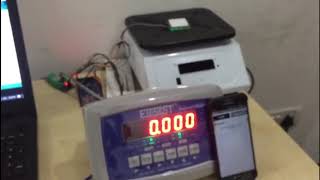 UHF RFID Smart Weighing Scale [upl. by Adnirod]