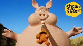 Shaun the Sheep 🐑 BIG PIG  Cartoons for Kids 🐑 Full Episodes Compilation 1 hour [upl. by Mattland]