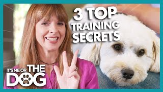 Victoria Stilwell Reveals 3 Secret Dog Training Tips  Its Me or The Dog [upl. by Ainahpets]