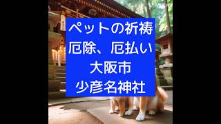 神社巡り 厄除け 厄払い 犬のいる暮らし 猫のいる暮らし 犬の七五三 猫の七五三 大阪市 [upl. by Bultman703]