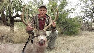 Desert Mule Deer Taken With Longbow [upl. by Oinotna]