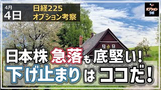 【日経225オプション考察】44 日本株急落も底堅い！ 下げ止まりはココを見ておこう！ [upl. by Paymar]