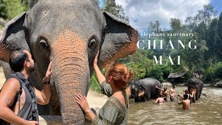 ELEPHANT SANCTUARY  Chai Lai Orchid  Chiang Mai Thailand [upl. by Gaillard726]