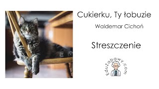 Cukierku Ty łobuzie  streszczenie lektury [upl. by Akemit627]