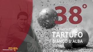 38 GARA INTERNAZIONALE TARTUFO BIANCO DALBA  BOCCE SPECIALITA VOLO [upl. by Armillda641]