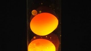 How To Make a Simple Lava Lamp At Home [upl. by Leiba]