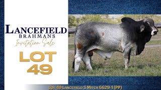 Lot 49 Lancefield S Mitch 66291 PP [upl. by Artur]