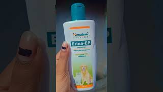 Erinaep shampoo vary help ful product shorts doglover [upl. by Gui904]