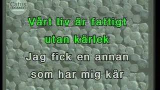 Retro karaoke Anita Lindbom  Sånt Är Livet [upl. by Ecinom]