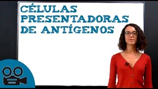 Qué son las células presentadoras de antígenos [upl. by Wiseman]