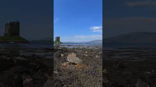 Travel Highlights  Castle Stalker scotlandtravel castle [upl. by Ylrrad]