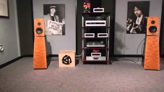 Tetra Speakers 333 Stack Warning lifesized bass levels Play It Low [upl. by Novj]