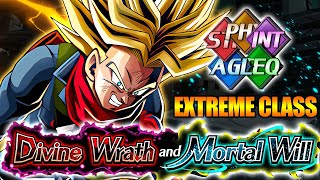 BEAT DIVINE WRATH AND MORTAL WILL STAGE 9 WITH AN EXTREME TEAM GUIDE  DBZ Dokkan Battle [upl. by Rexanne]