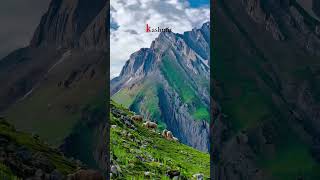 Kashmir Travel  Scenic Views  Lakes  Mountains [upl. by Yendyc62]