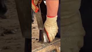 Donkey Hoof Maintenance in Seconds HoofCleaning HealthyHooves FarmRoutine LivestockCare Donkey [upl. by Fotinas74]