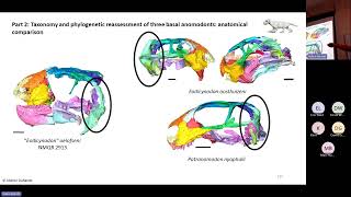 Ontogeny phylogeny and taxonomy of Permian therapsids CTscan and Bayesian inference of phylogeny [upl. by Mathis]