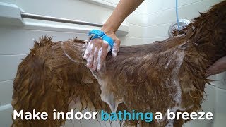 Using the Aquapaw® Pet Bathing Tool Indoors [upl. by Rori]