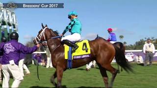 Stormy Liberal Wins Breeders Cup Turf Sprint Grade I Stakes Race 5 at Del Mar 110417 [upl. by Hsetirp]