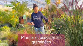 Quelles GRAMINÉES pour MON JARDIN  Conseils et Inspirations [upl. by Yentuoc922]