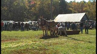 Blue Ridge Folklife Festival Clips 2011 [upl. by Angela227]