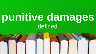 Punitive Damages  Explained Simply Torts [upl. by Cosma]