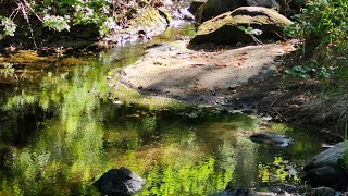 Water at Spahn Ranch [upl. by Llebpmac389]