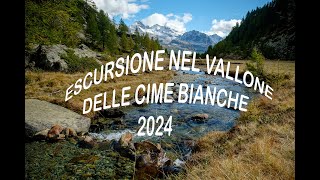 Vallone Cime Bianche [upl. by Ezana]