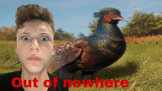 Pheasant in game models revealed ￼ Out of nowhere Hunter call of the wild [upl. by Ahsed202]