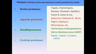 Serine Proteases Mechanism of Action [upl. by Yim]