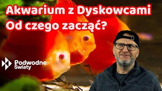 Akwarium z dyskowcami Od czego zacząć [upl. by Shute]